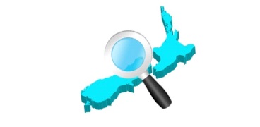 Doing Business in NZ